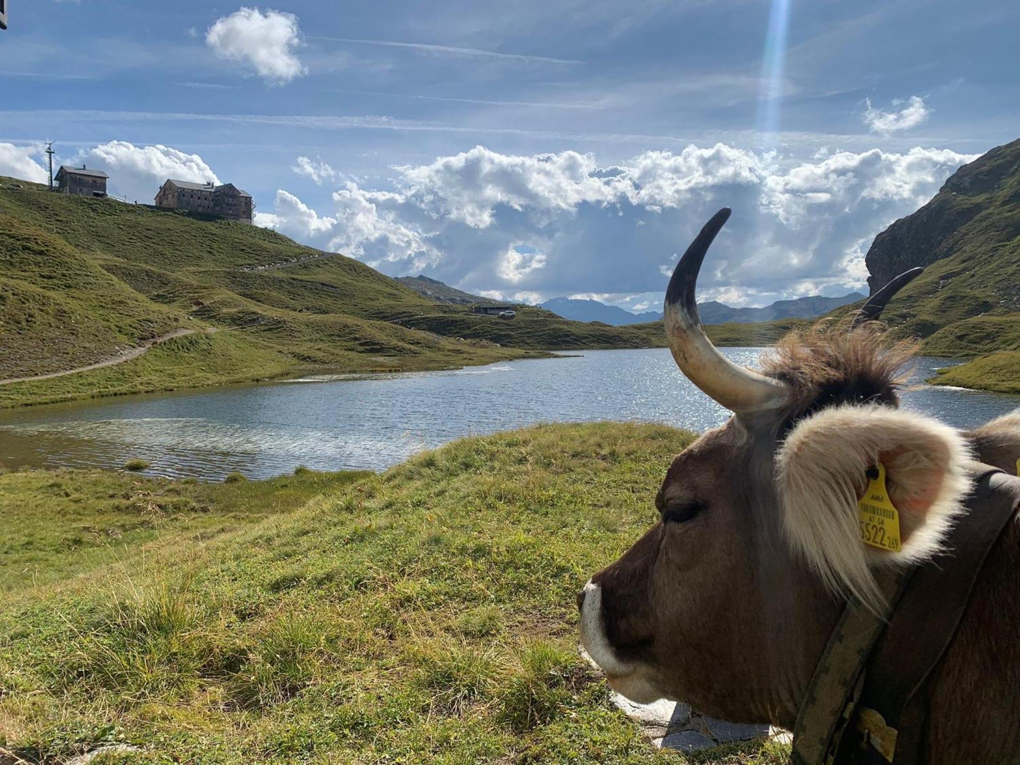 Haus Richard Falch - Inklusive Kostenloser Premium-Sommerkarte Sankt Anton am Arlberg Esterno foto